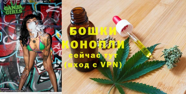 индика Горнозаводск