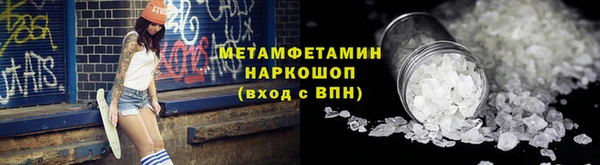 индика Горнозаводск
