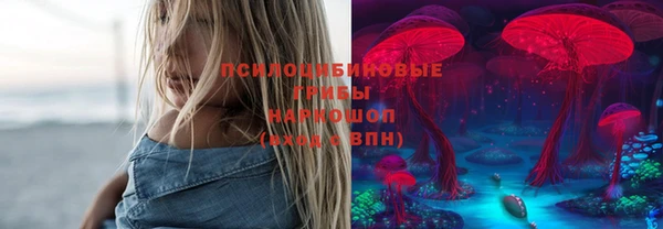индика Горнозаводск