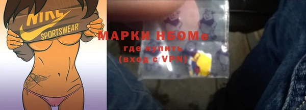 индика Горнозаводск