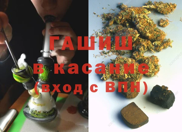индика Горнозаводск