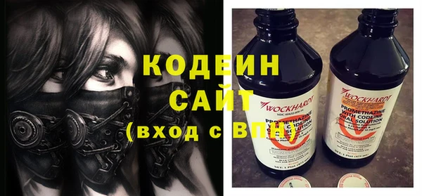 индика Горнозаводск